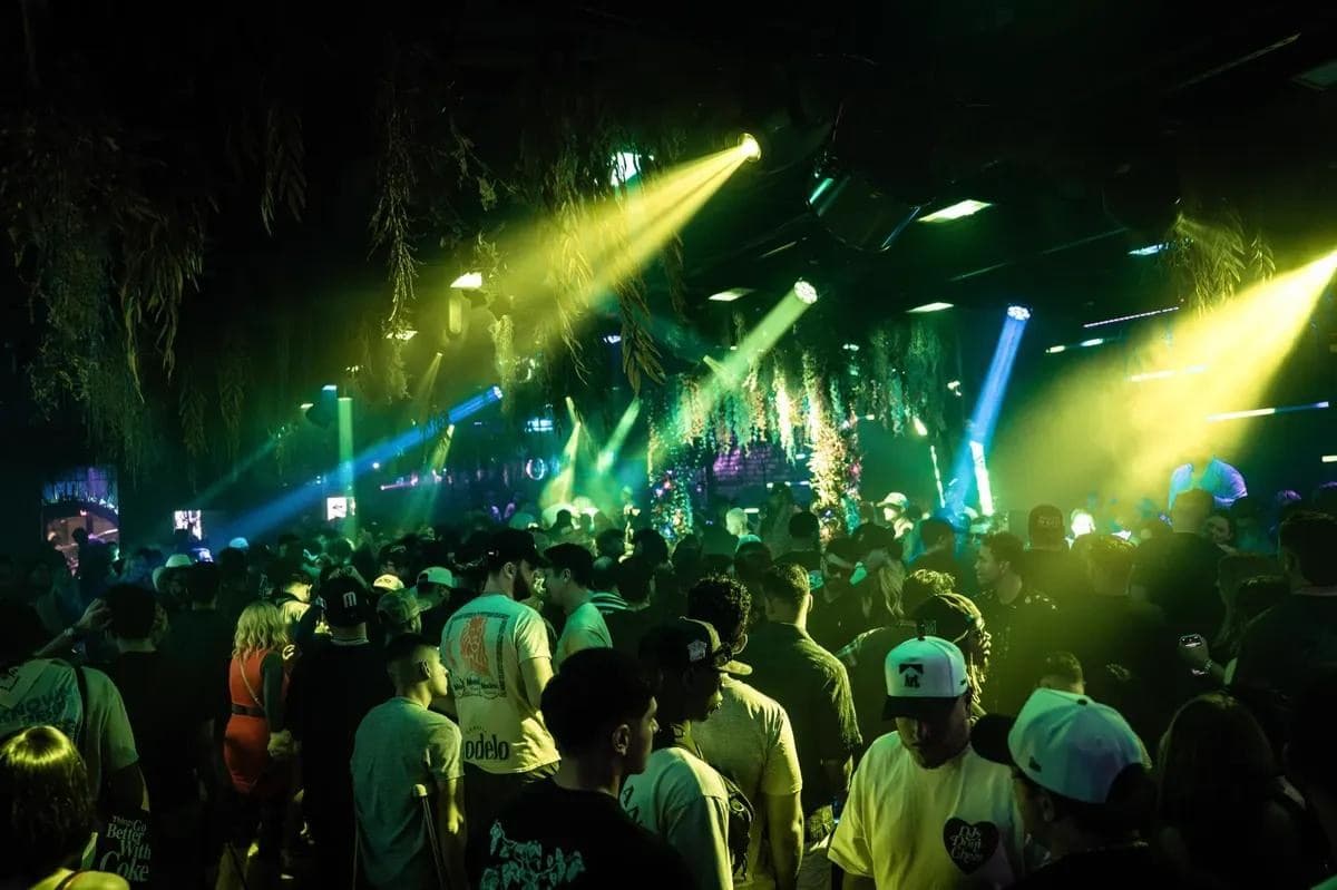 Crowd in a dark room with yellow and green beams of light